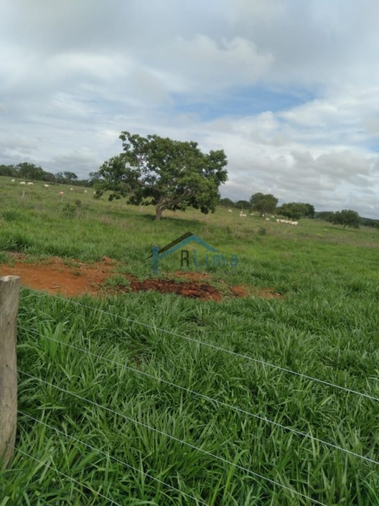 fazenda-venda-corinto-mg-32-900-000-839532