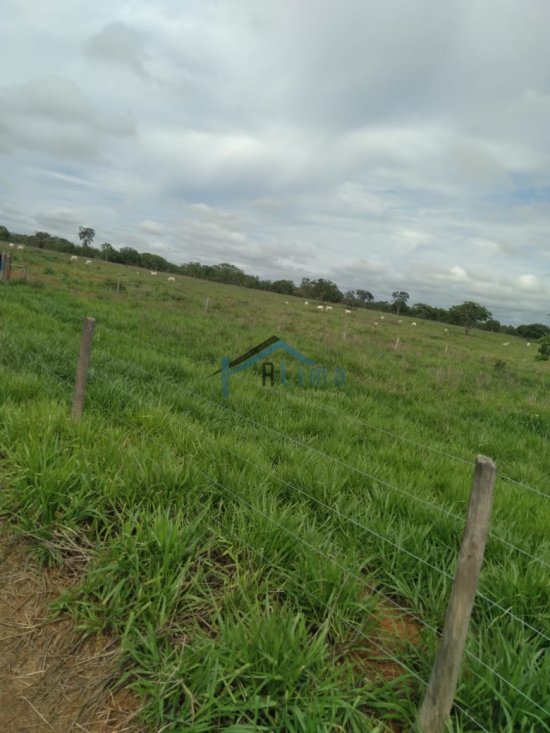 fazenda-venda-corinto-mg-32-900-000-839533