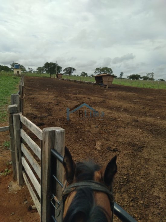 fazenda-venda-corinto-mg-32-900-000-839534